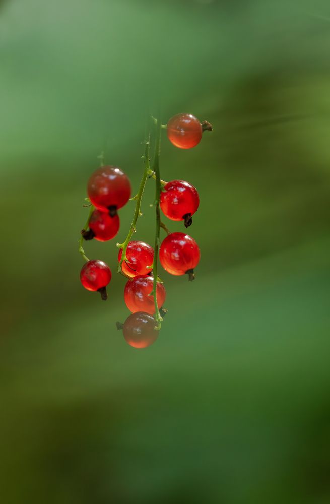 Photograph by Юлия Куликова