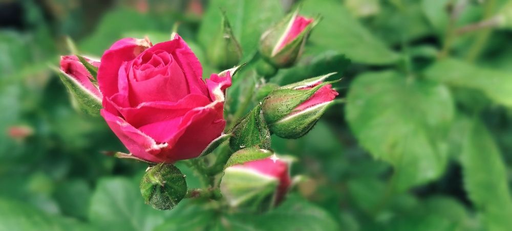 Photograph by Татьяна Стаскевич