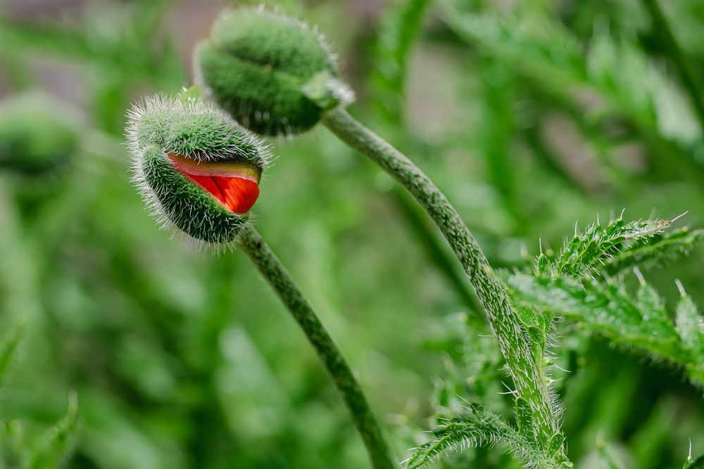 Photograph by Мария Новоселецкая