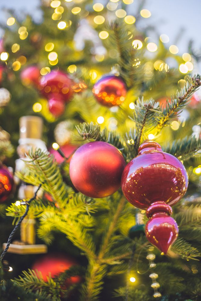 Photograph by Tatiana