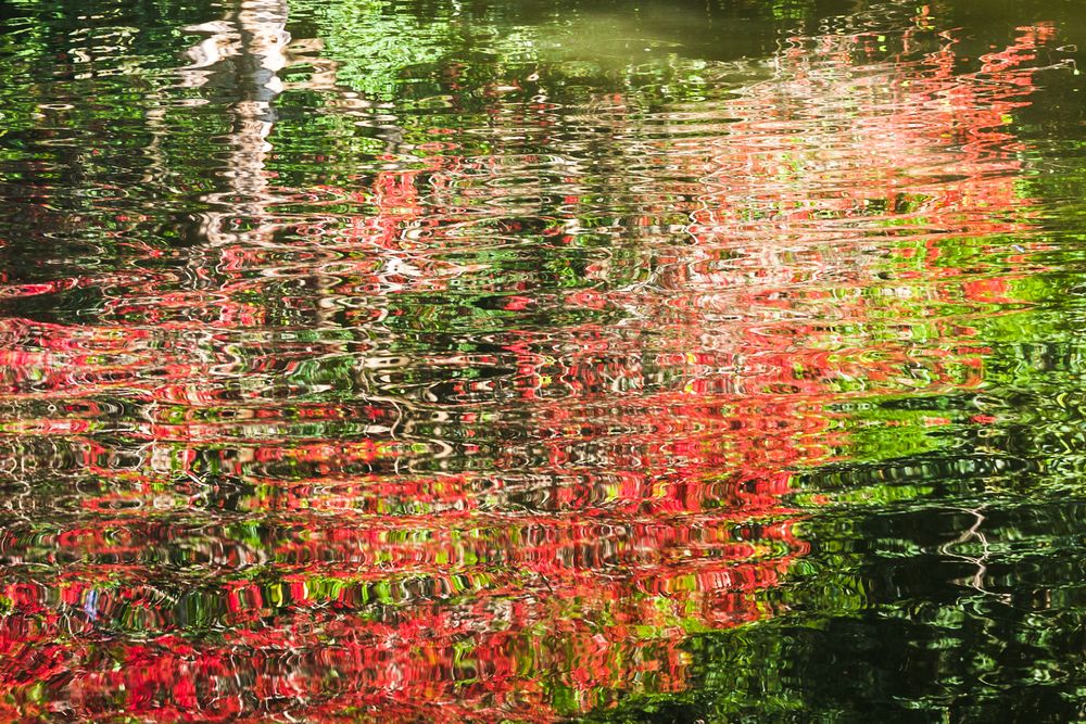 Photograph by Tatiana