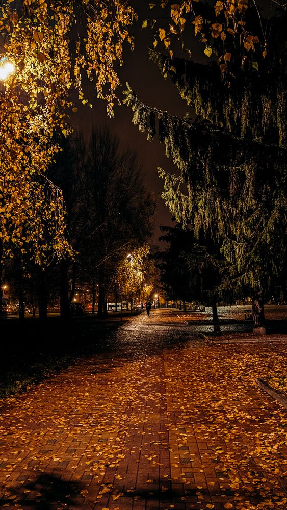 Photograph by Ирина Лузянина