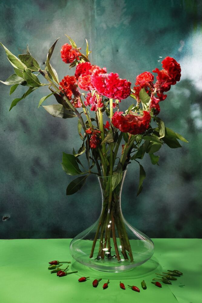 Photograph by Merav Zuberman Perkal