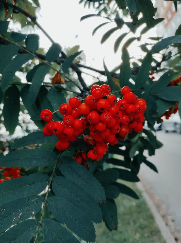 Photograph by Осадчая Анна