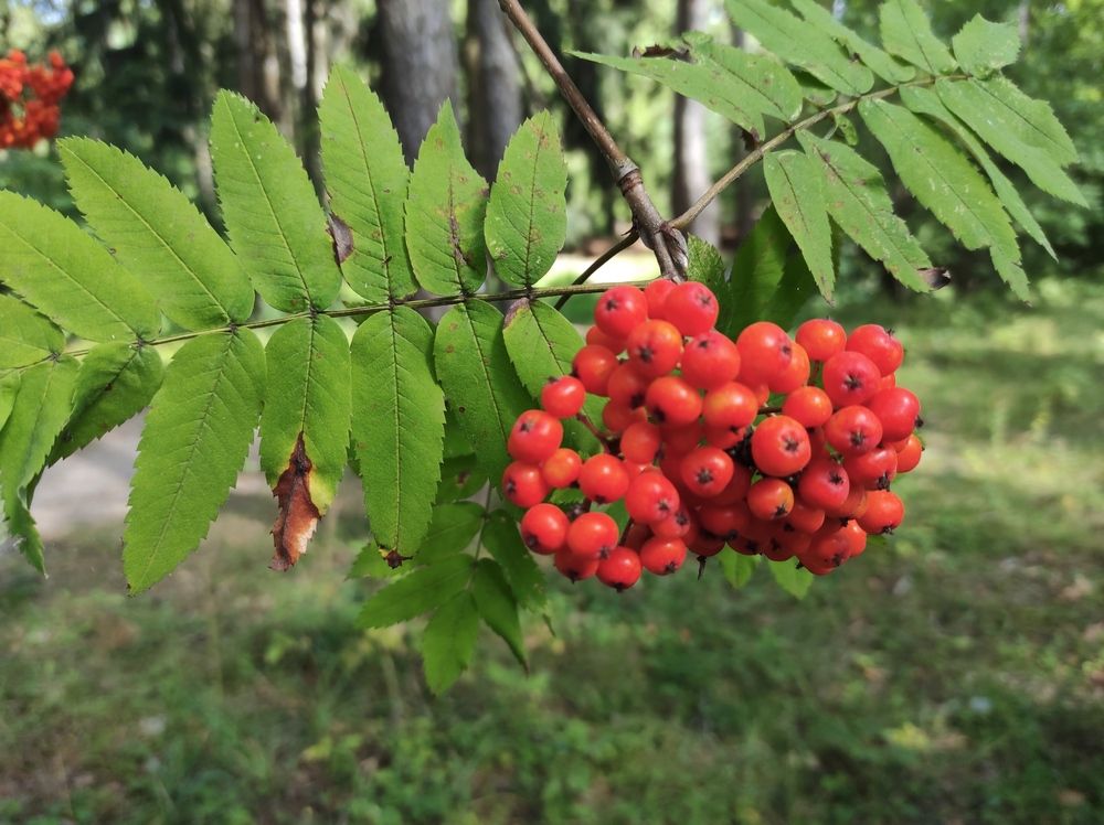 Photograph by Осадчая Анна