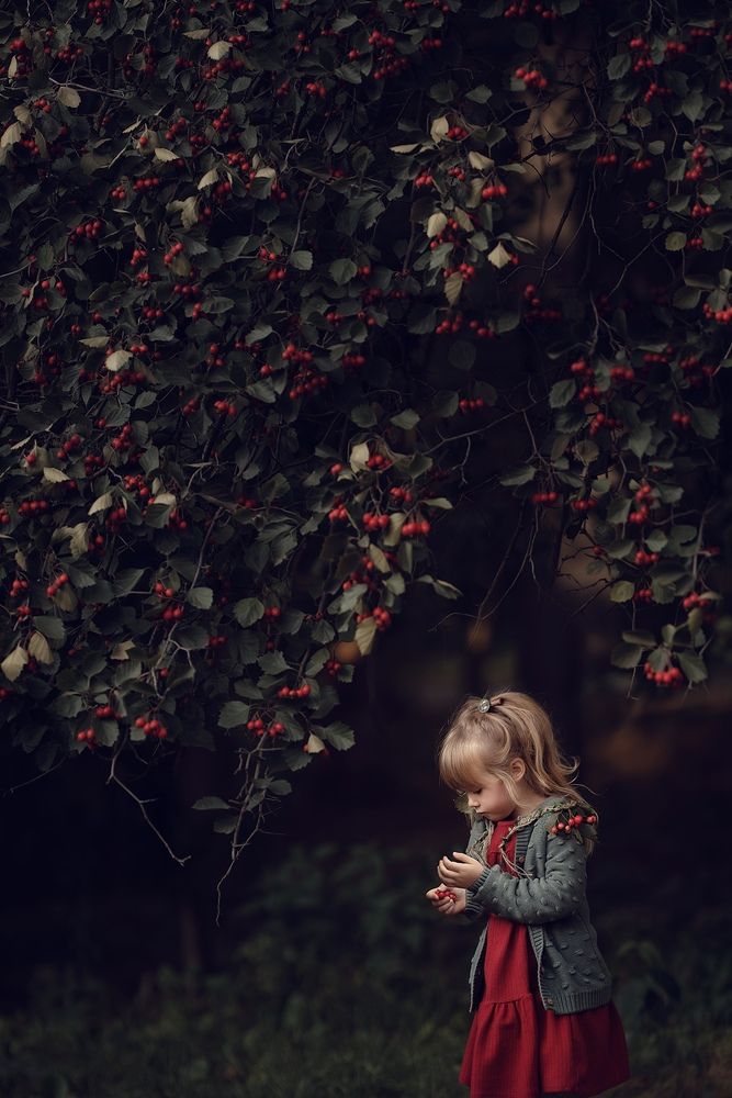 Фотография автора Елизавета Царькова