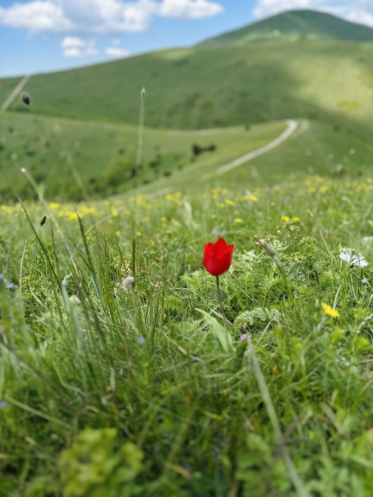 Photograph by Ksenia Sinitskaja
