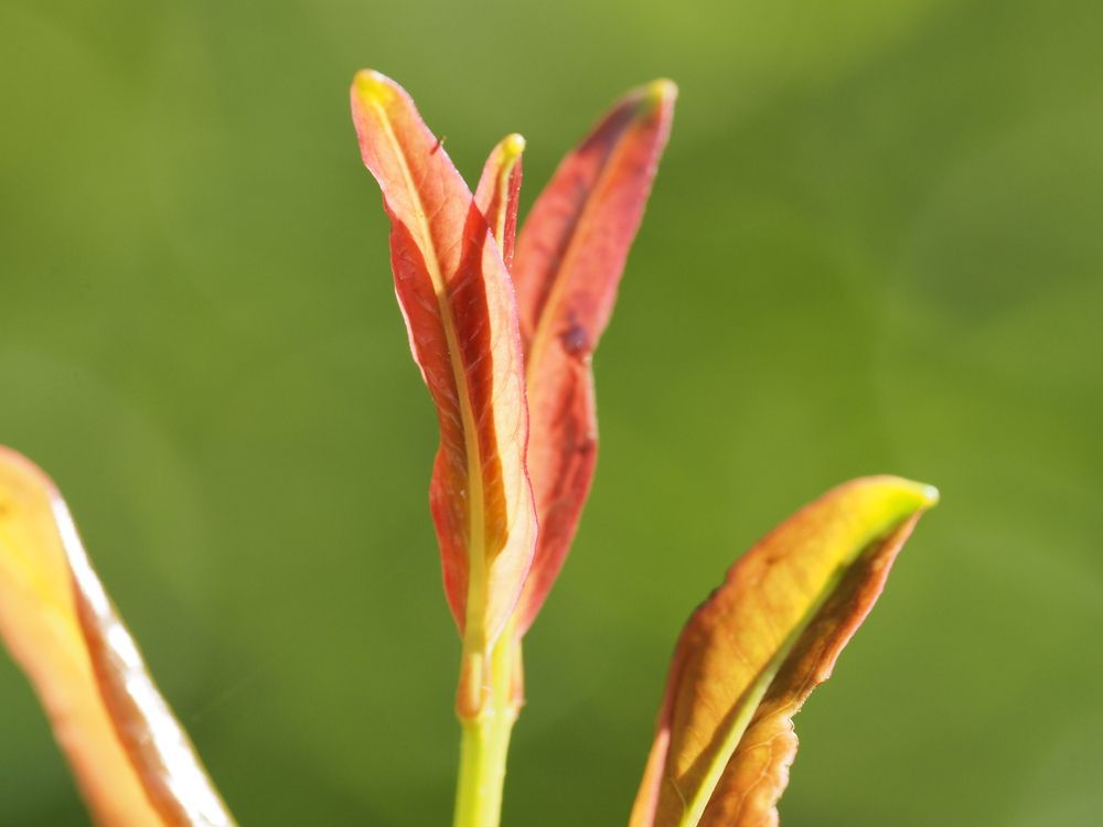 Photograph by Сергей Борисов