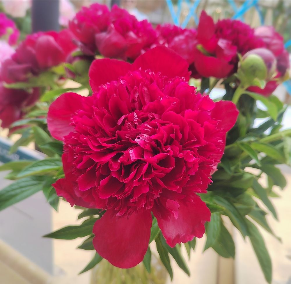 Photograph by Елизавета Завзина