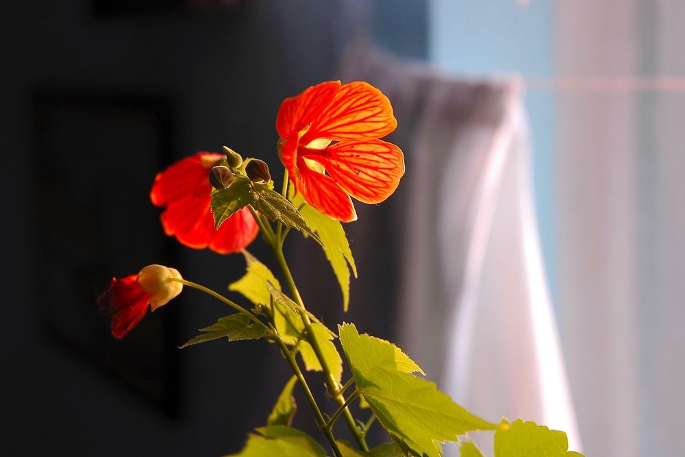 Photograph by Юрий Тимофеев