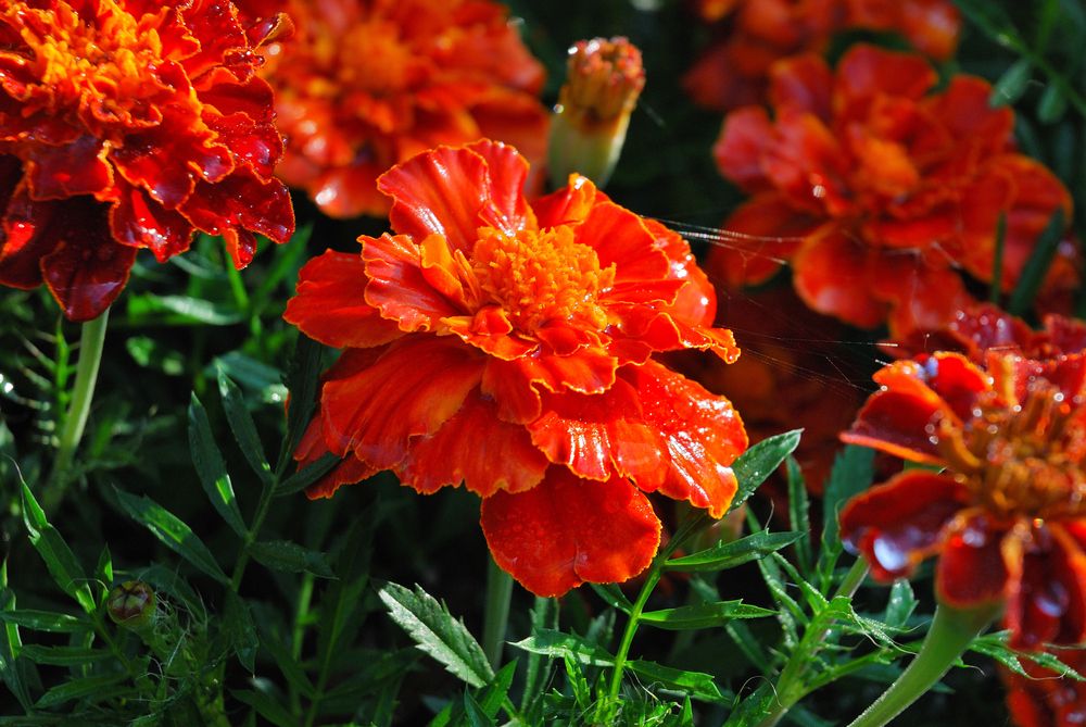 Photograph by Юрий Тимофеев