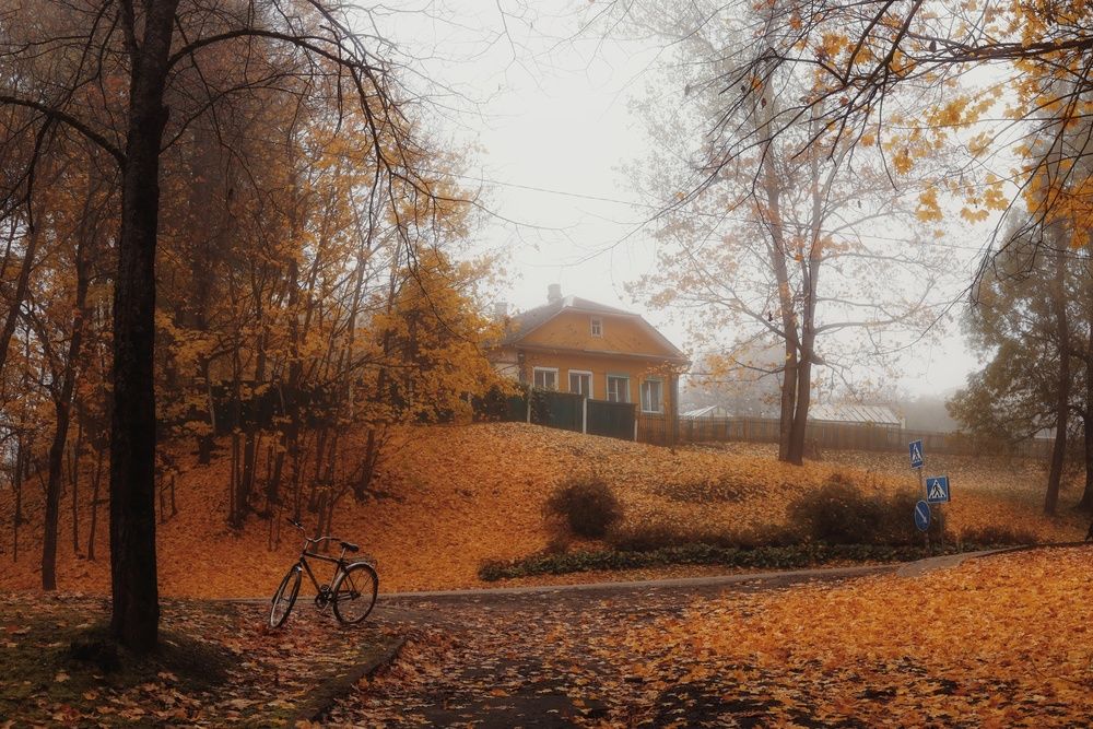 Фотография автора Евгений Белов
