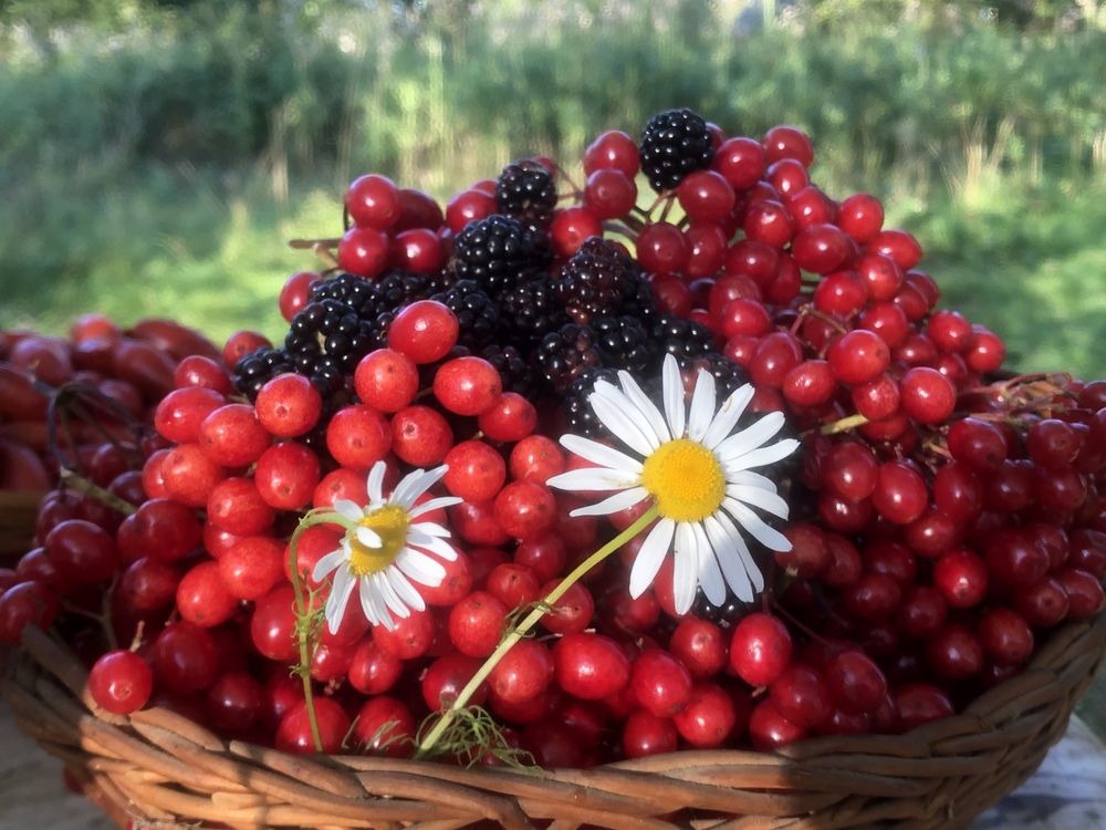 Photograph by Белехова Светлана