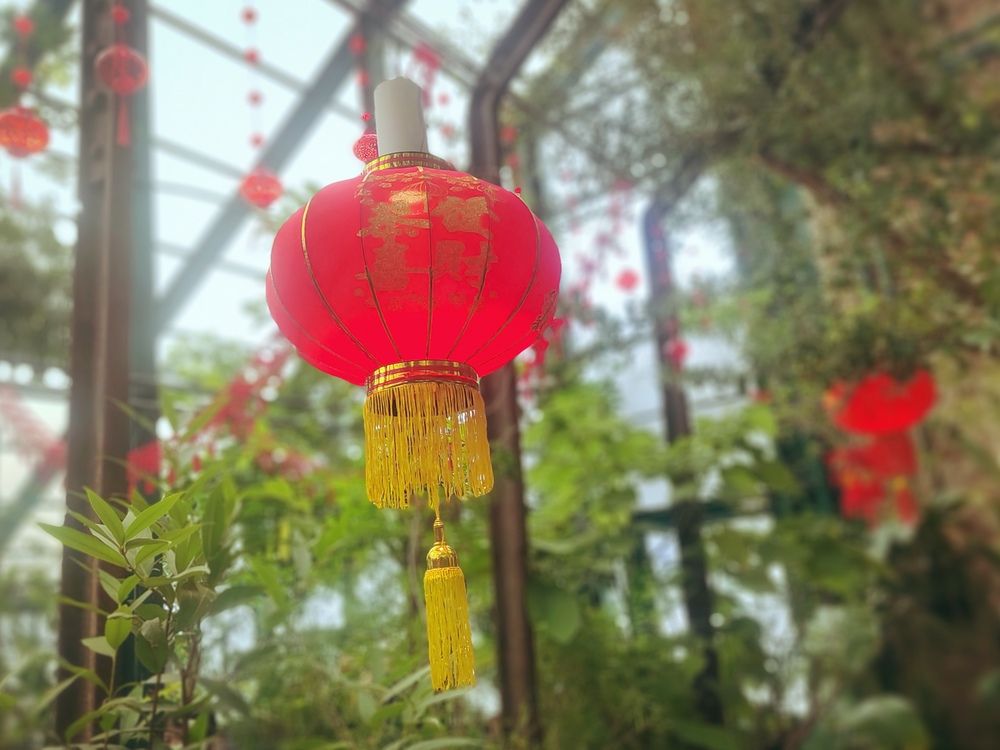 Photograph by Елизавета Завзина