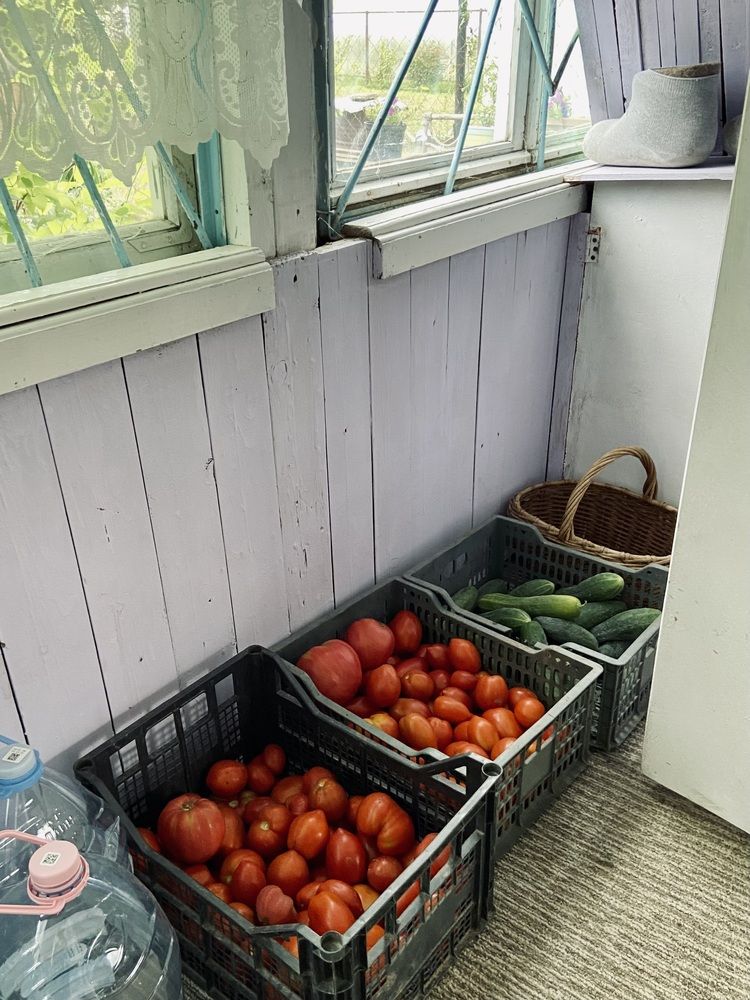 Photograph by Эллина Арденн