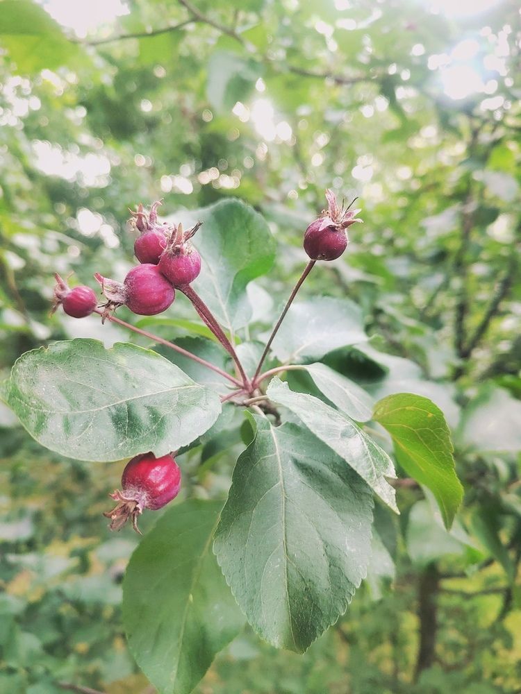 Photograph by Елизавета Завзина