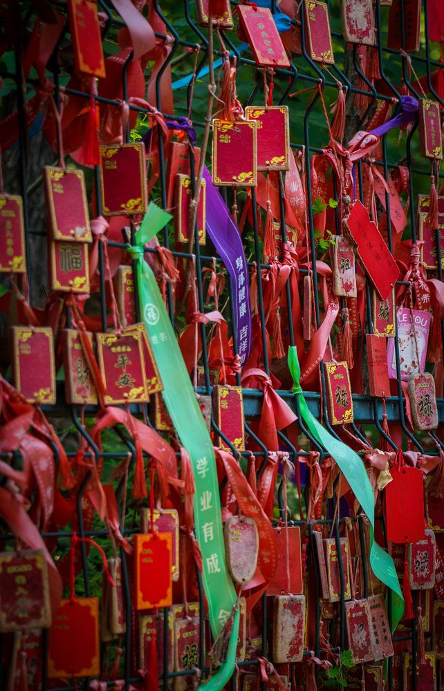 Фотография автора Василиса Новикова