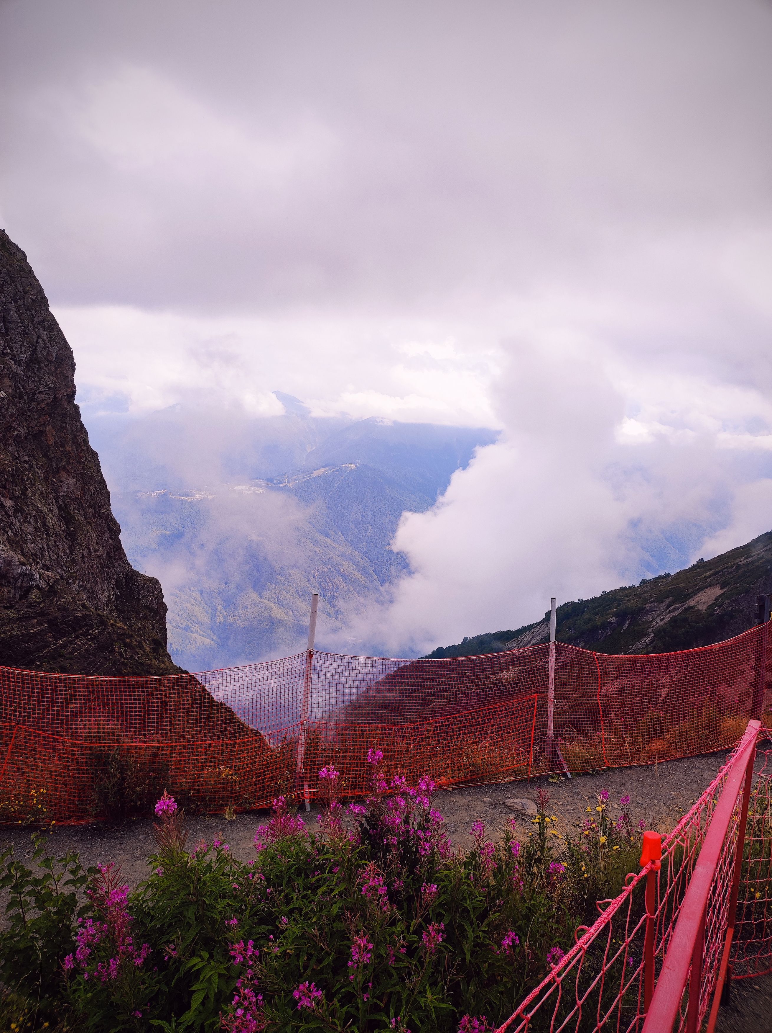 Photo #12768556