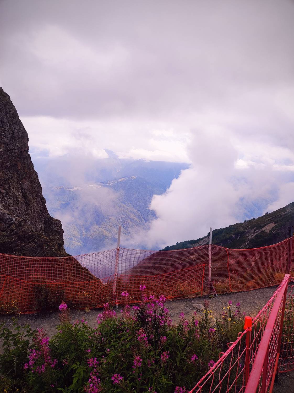 Photo #12768556