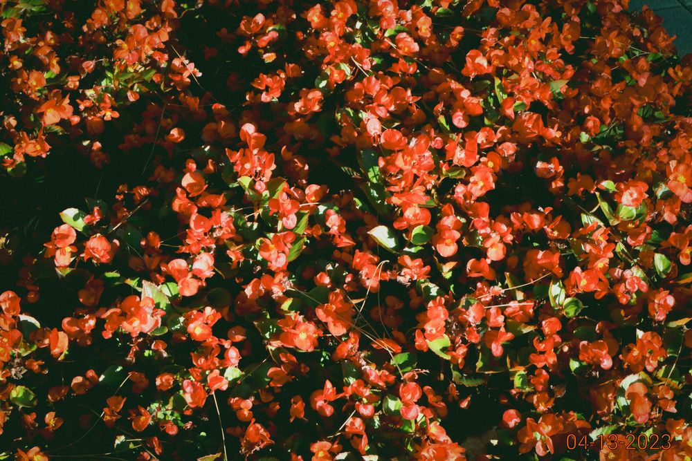 Photograph by Natalya Sedina