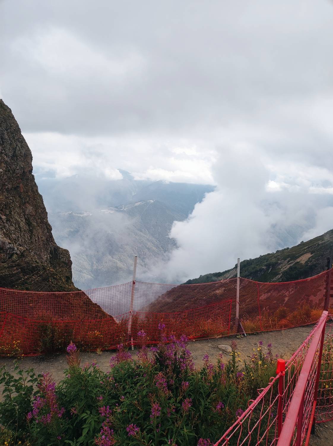 Photo #12768565