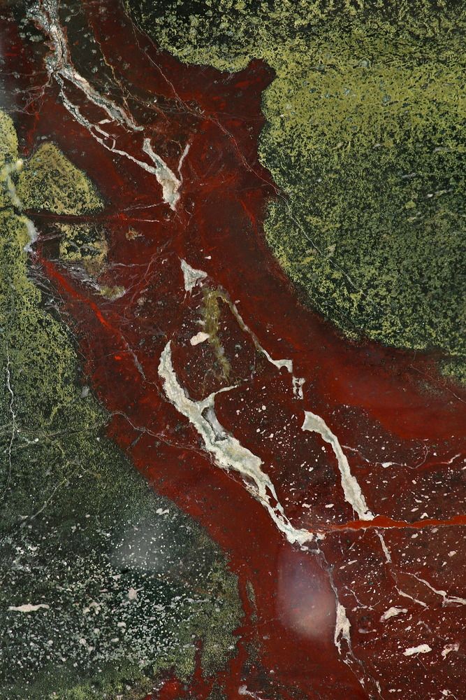 Фотография автора Александр Кожевников