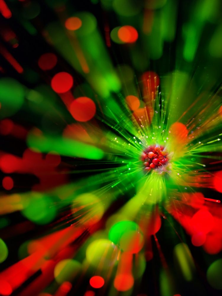 Photograph by Алла Холодова