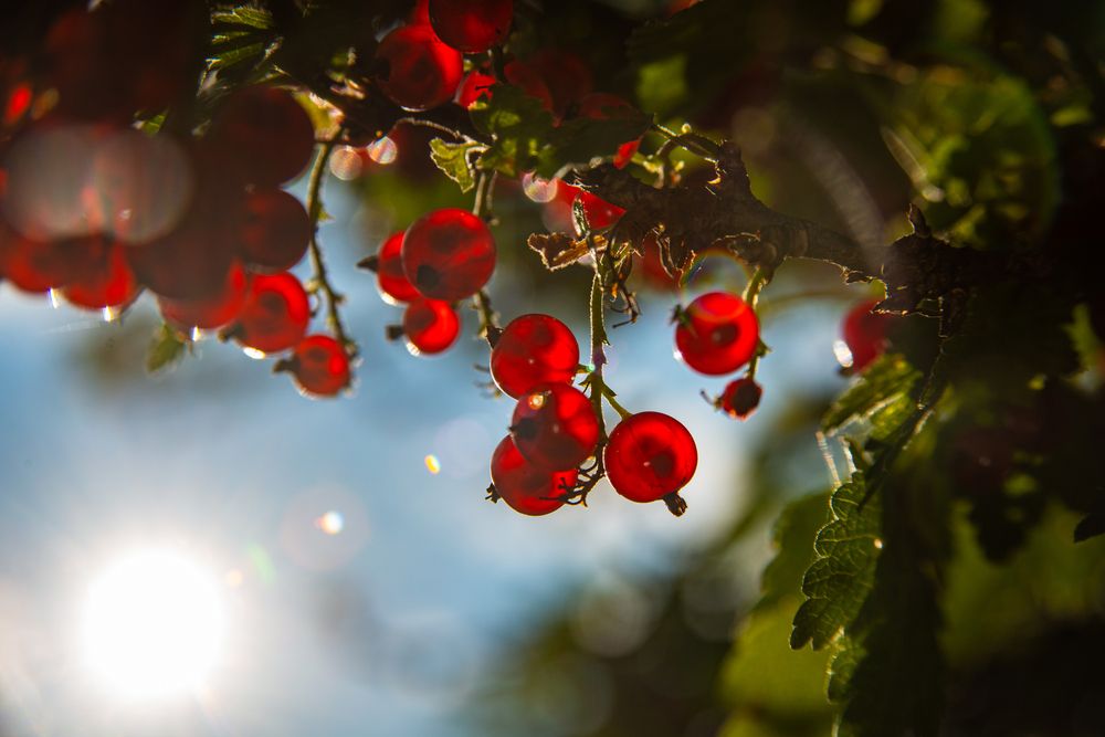 Photograph by Кочергин Егор