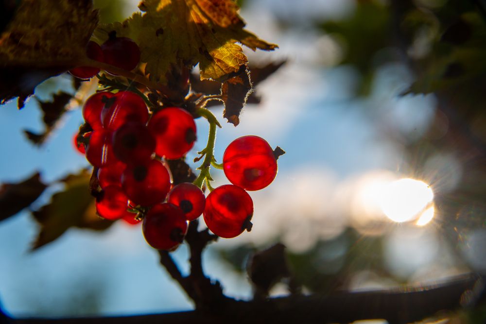 Photograph by Кочергин Егор