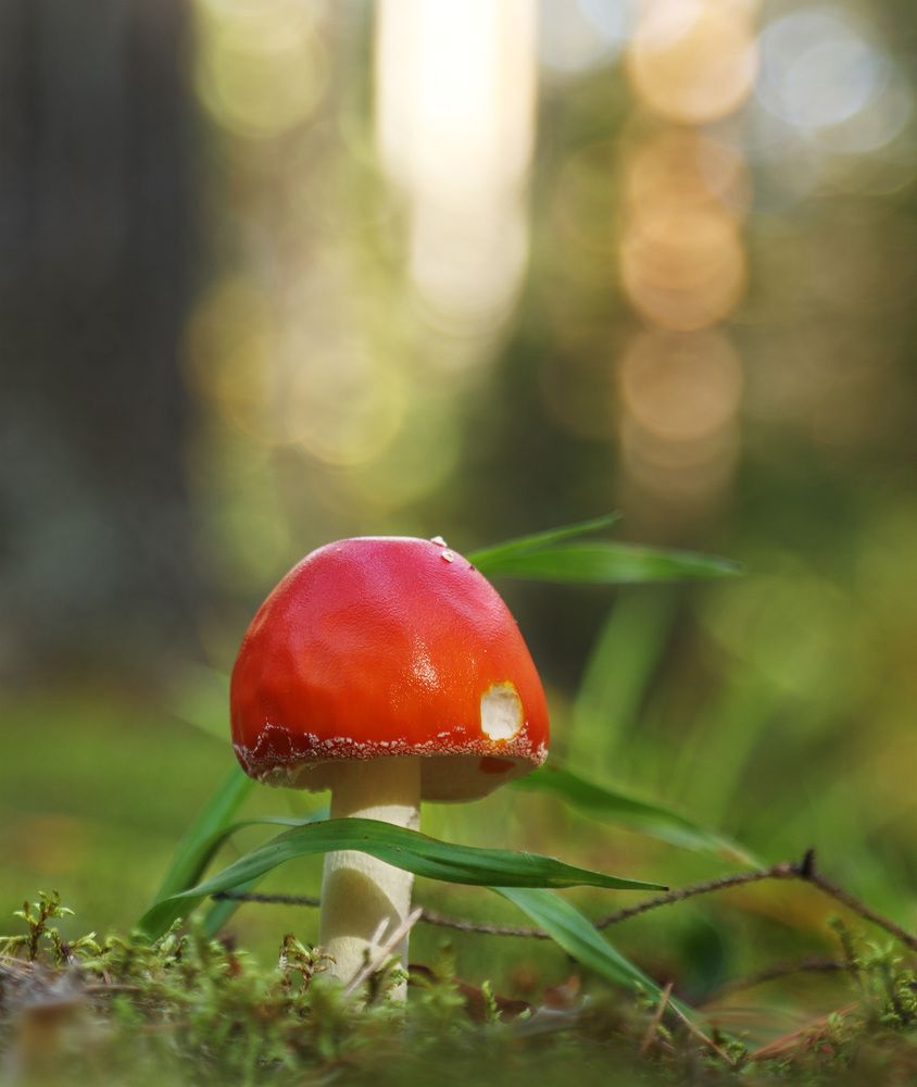 Photograph by Олег Фокин