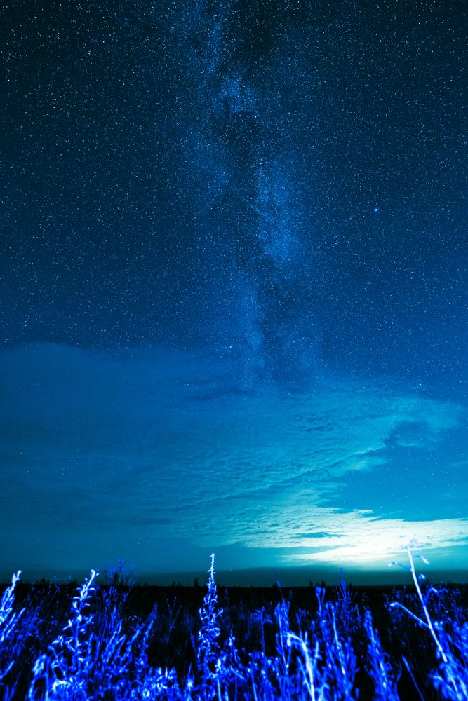 Photograph by Максим Жарких