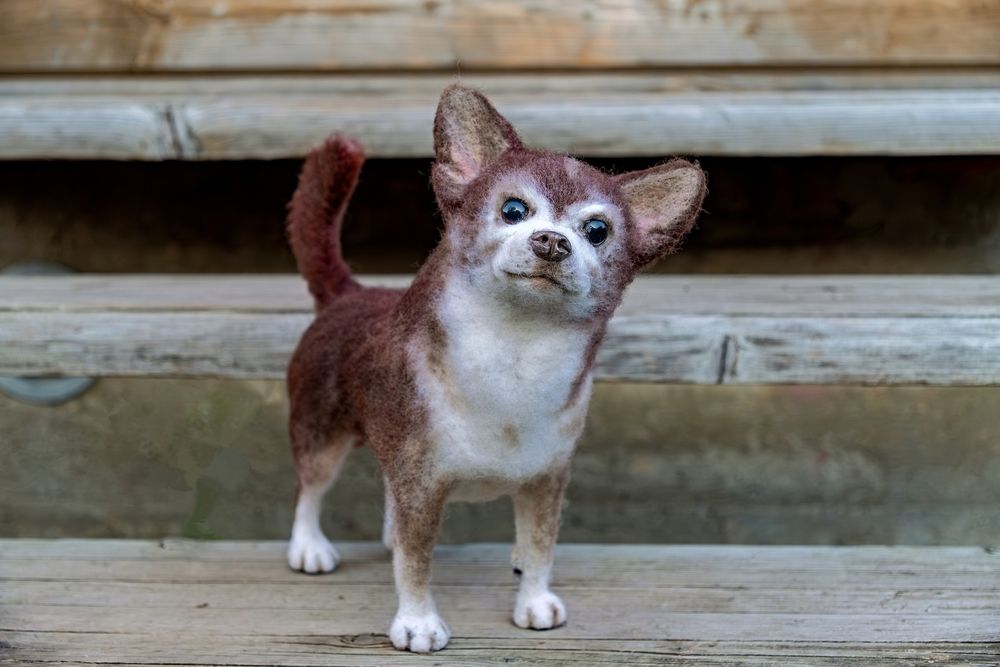 Photograph by Михаил Косолапов