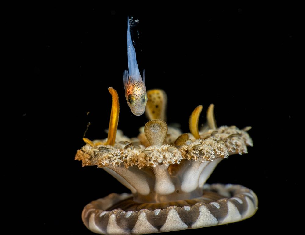 Photograph by Magali Márquez