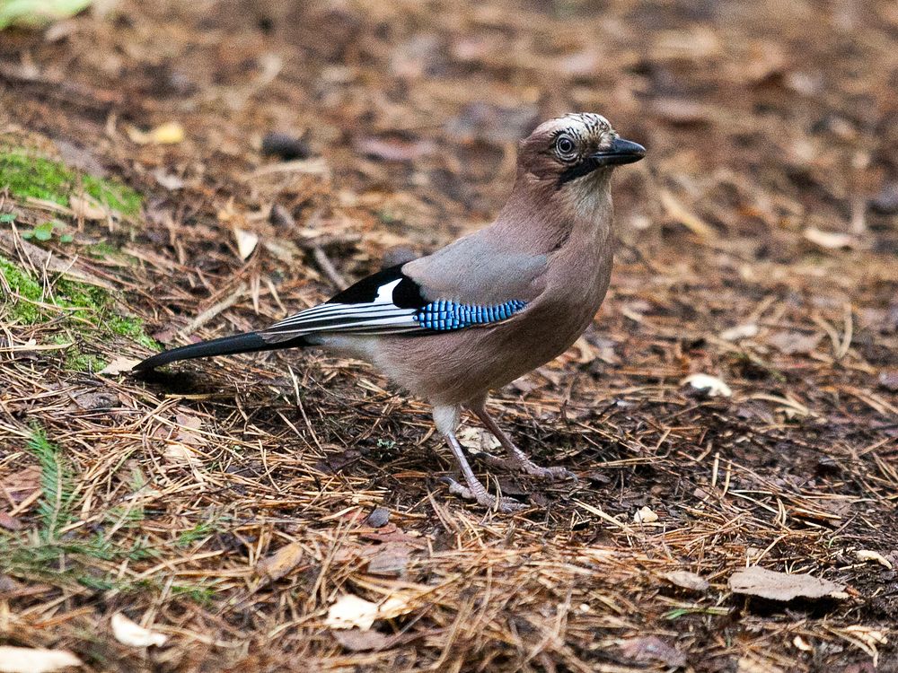 Photograph by Лолита Богачева