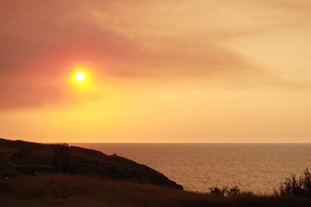 Photograph by Евгений Дрогоруб