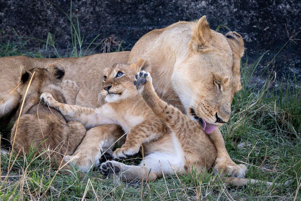 Photograph by Nikolay Slutskiy