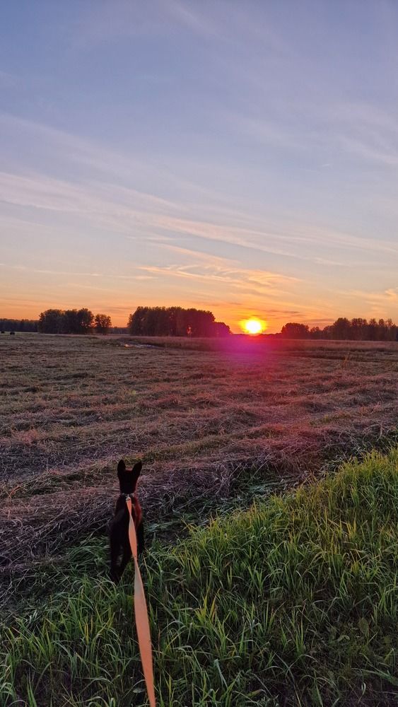 Photograph by Дарья Агапова