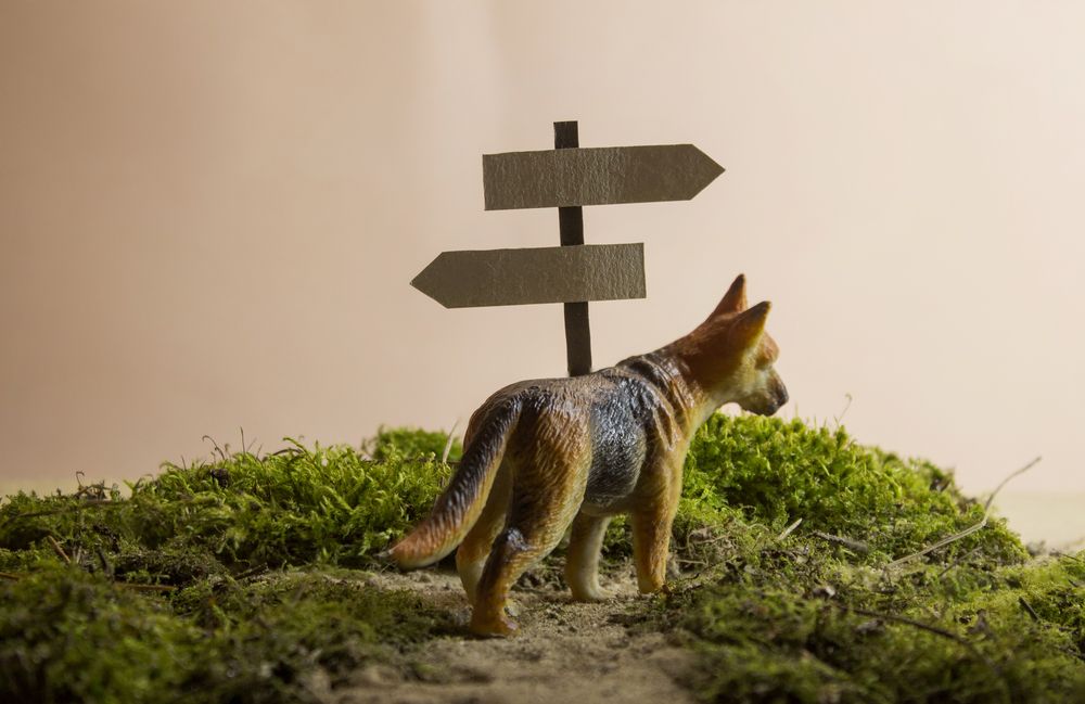 Photograph by Aleksey Mordyashov