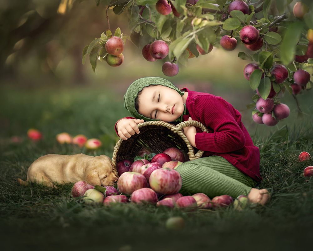 Фотография автора Meilleurs Moments