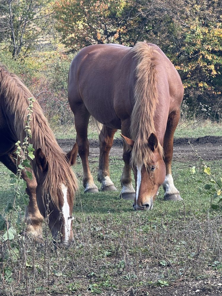Photograph by Бойкова Наталия