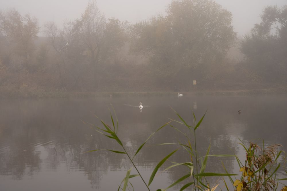 Photograph by Надежда Маст