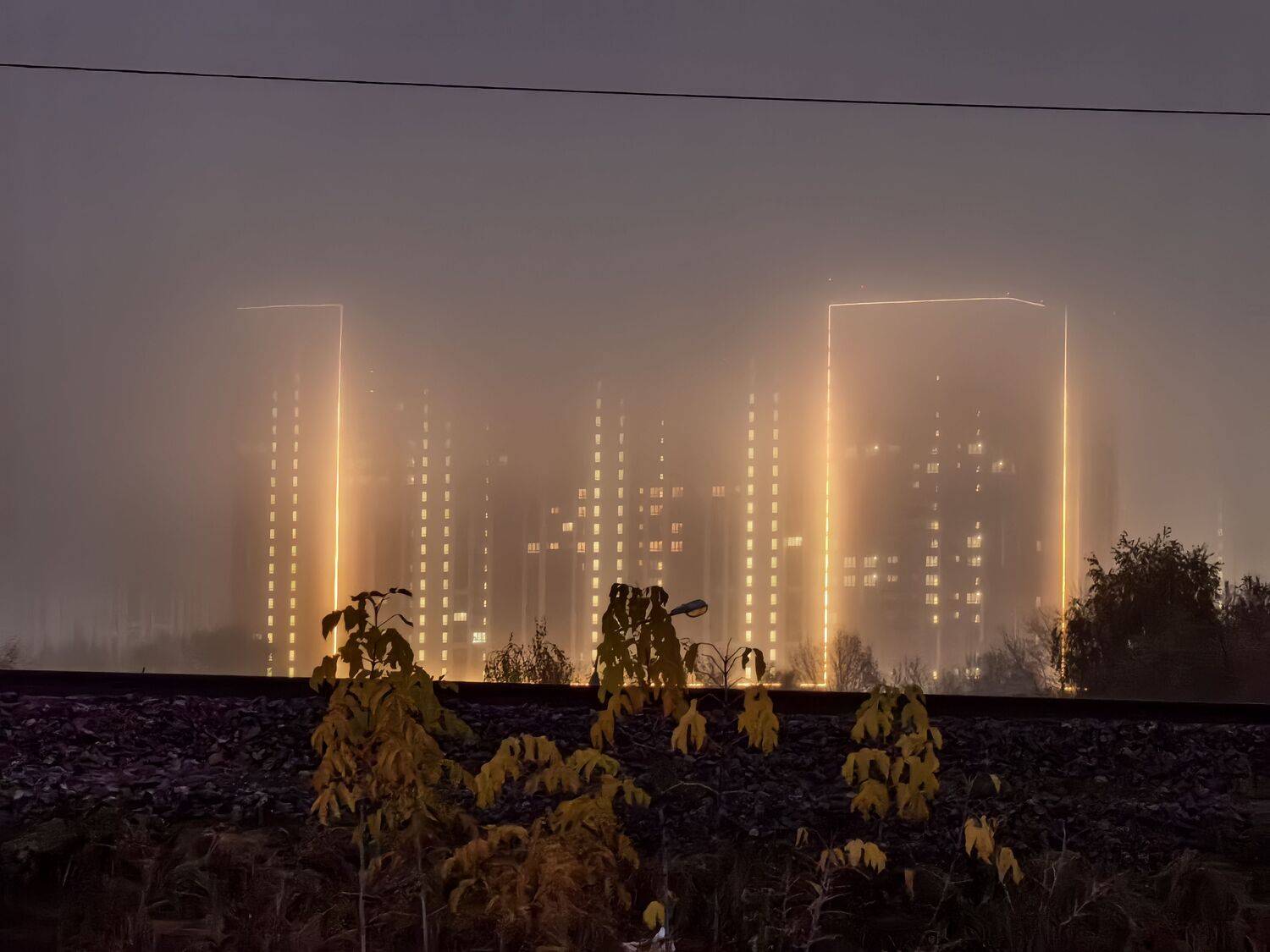 Photo #12769169