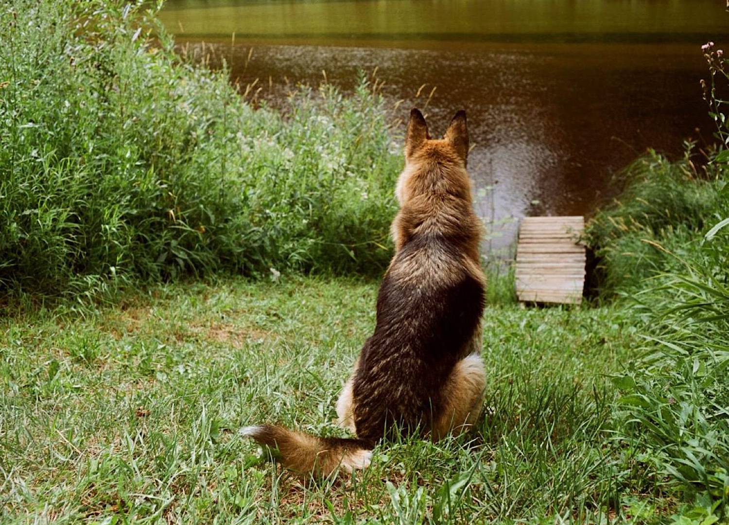 Photo #12769246