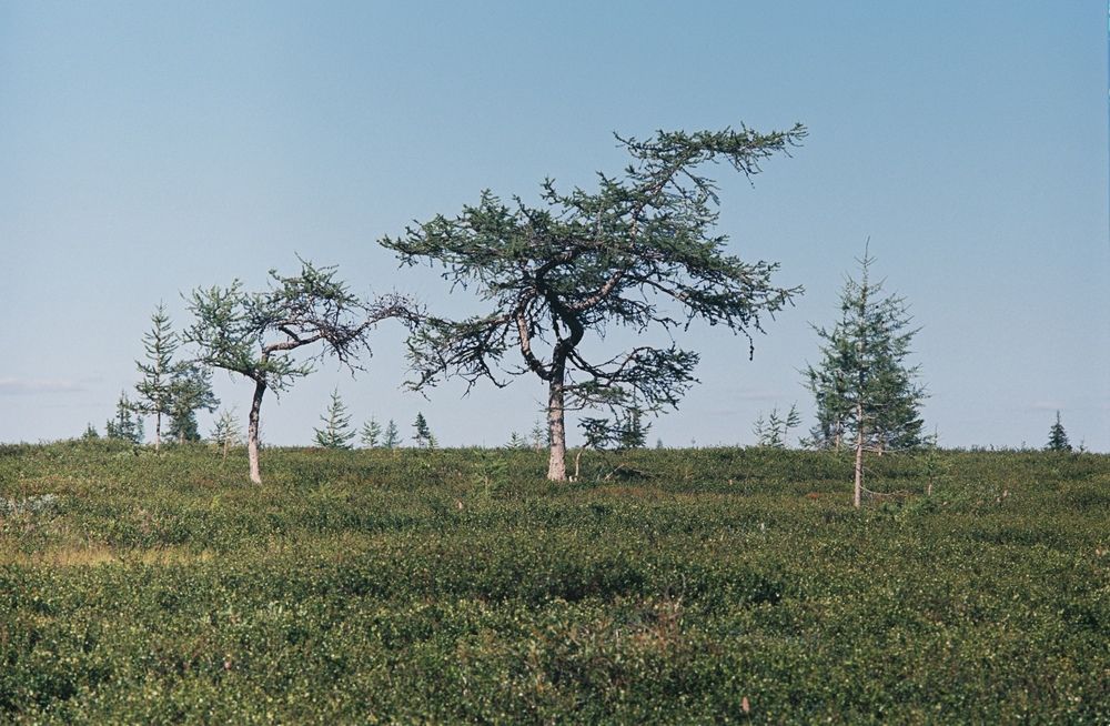 Photograph by Ольга Бородкина