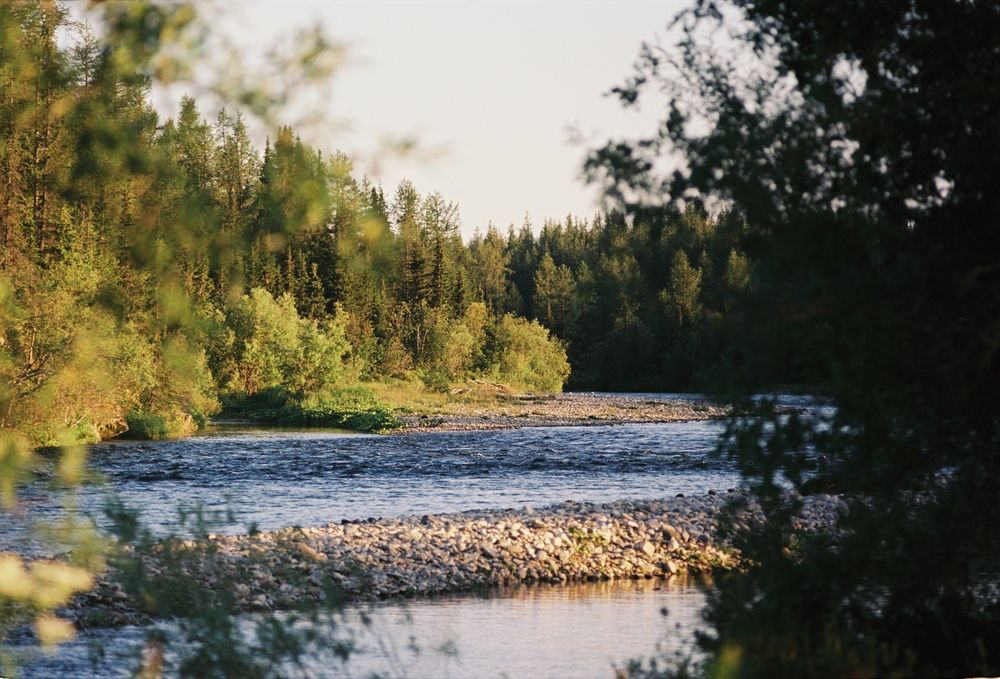 Photo #12769251