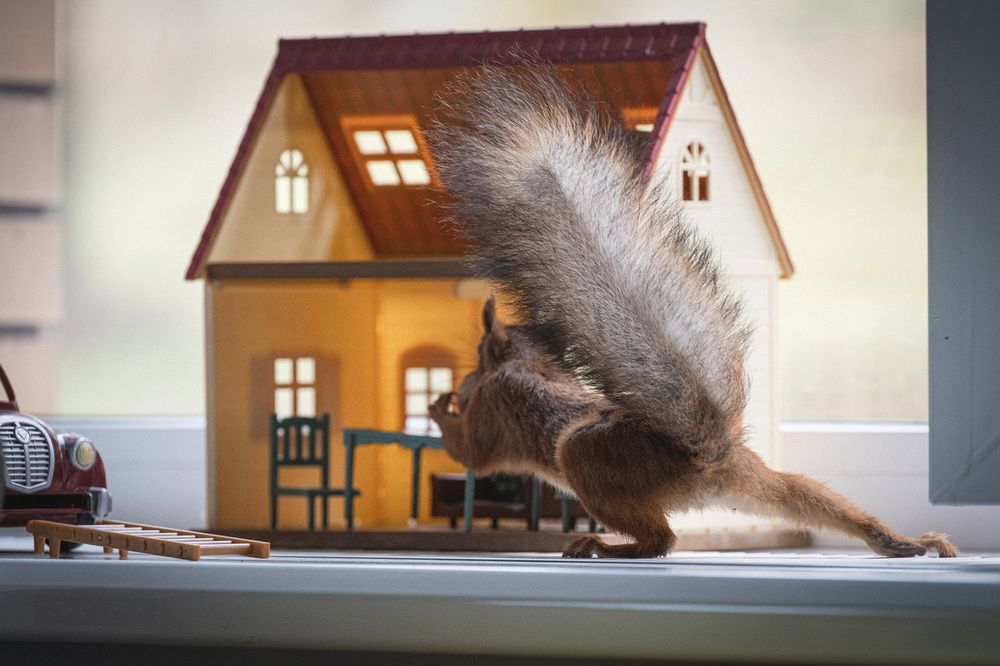 Photograph by Елена Март