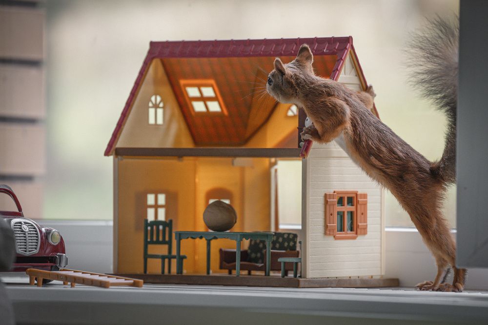 Фотография автора Елена Март