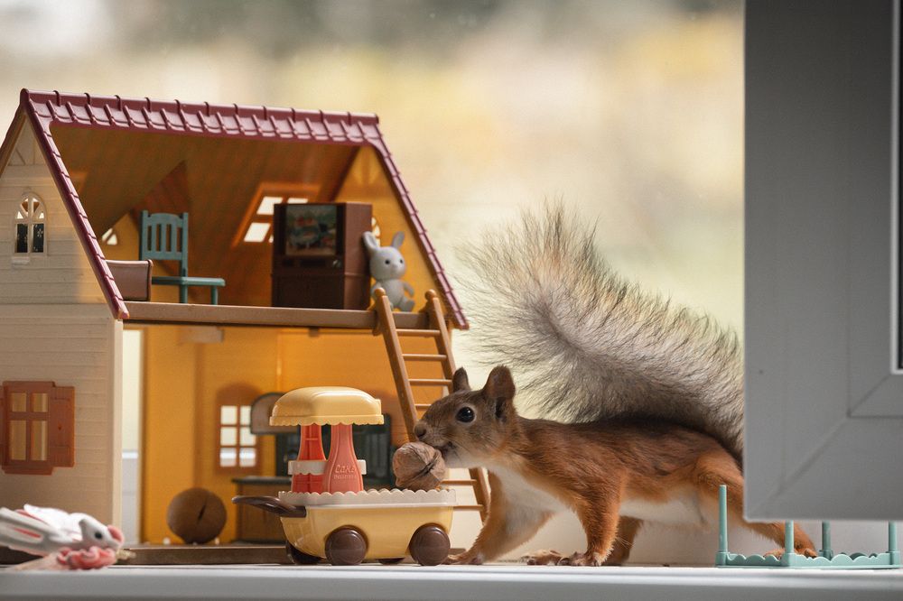 Photograph by Елена Март