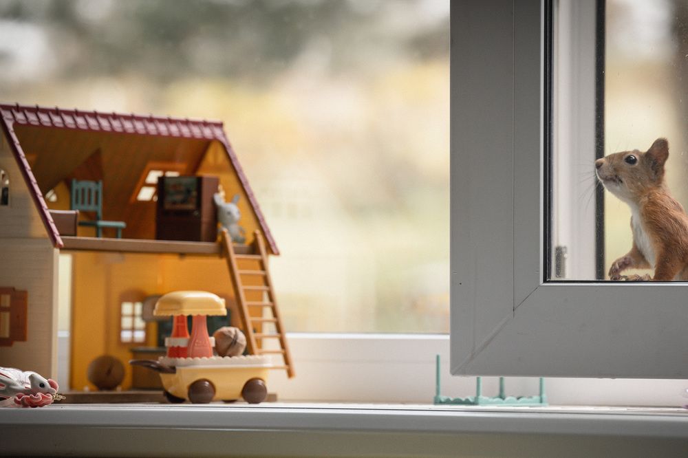 Photograph by Елена Март