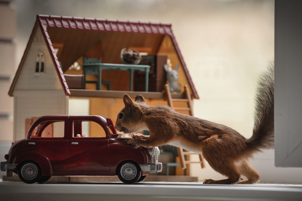 Фотография автора Елена Март